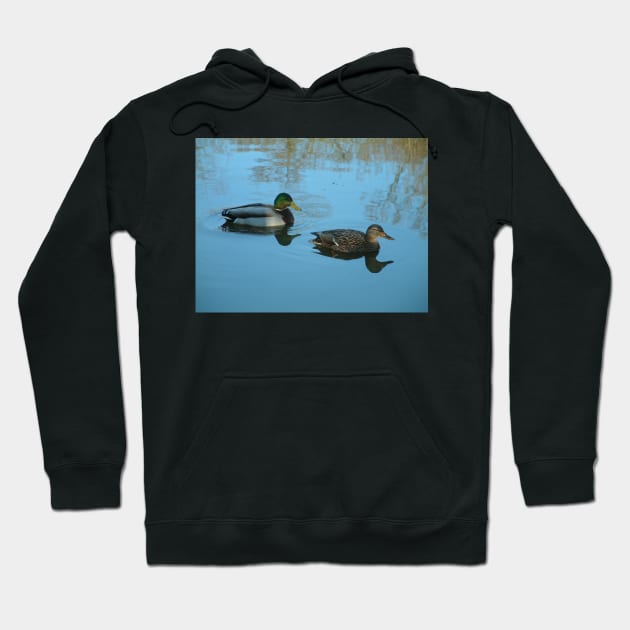 Ducks Hoodie by newbeltane